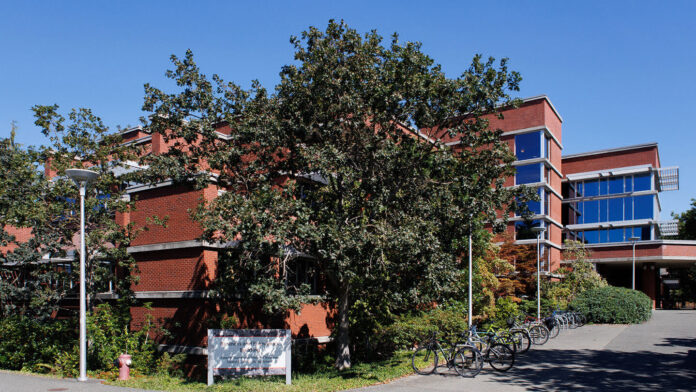 bec-building-bikes-2025